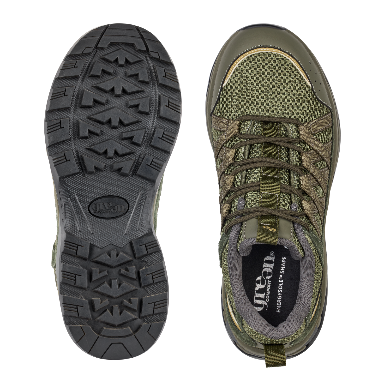 LONDON LOURDES - OLIVE